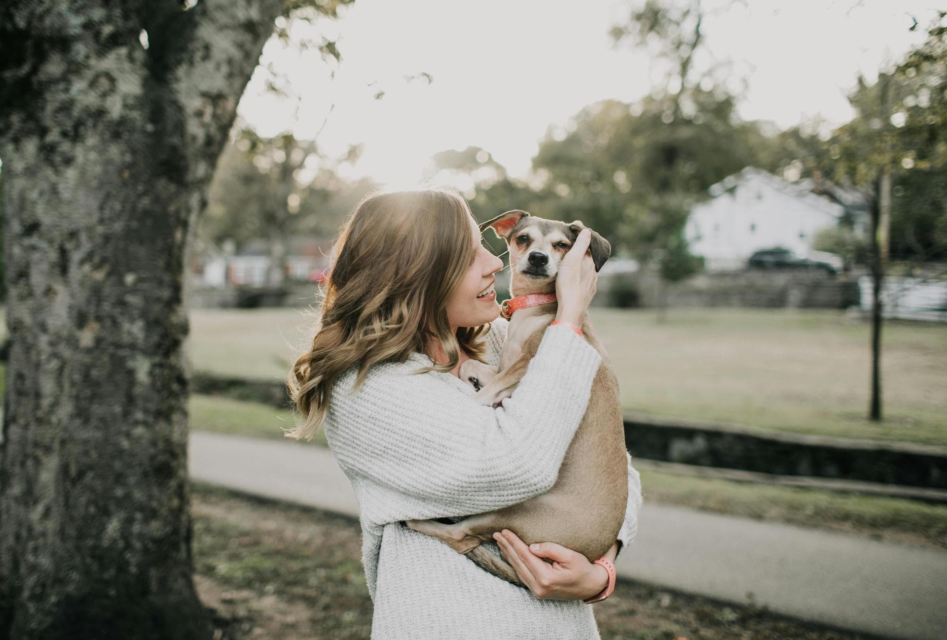 Annual Vaccination With Kennel Cough Prices in Hounslow